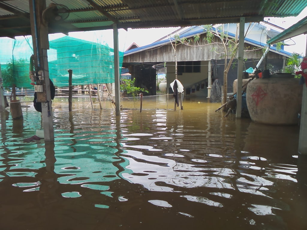 พนังกั้นน้ำบ้านดินแดง จ.ร้อยเอ็ด ขาด! แม่น้ำชีเอ่อล้นท่วมทั้งหมู่บ้าน 144 หลัง บางจุดสูง 2 เมตร