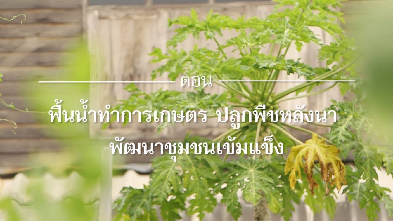 สารคดีเสียงจากแผ่นดิน EP2 ตอน 04 “ฟื้นน้ำทำการเกษตร ปลูกพืชหลังนาผสมผสาน สร้างอาชีพ พัฒนาชุมชนเข้มแข็ง”