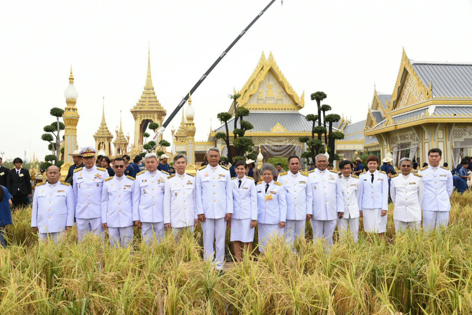 รมช.เกษตรฯ เป็นประธานเก็บเกี่ยวข้าวในภูมิสถาปัตยกรรมแปลงนาข้าว ประกอบพระเมรุมาศ
