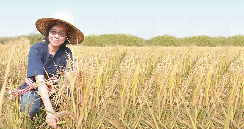 ชุติมา บุณยประภัศร รัฐมนตรีหญิงกับวิถีชาวนา