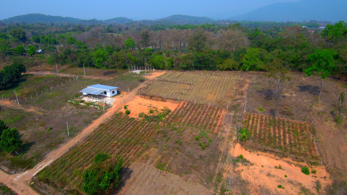 เชียงรายพบนายทุนรุกที่ป่าสงวนฯ-ซื้อขายกว่า 200 ไร่ จนท.เร่งบุกยึดคืน