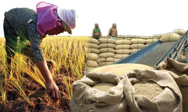 ชาวนาปลื้มแผนตลาดนำผลิตดันราคาข้าวเปลือกพุ่ง-ต้นทุนลด 15%