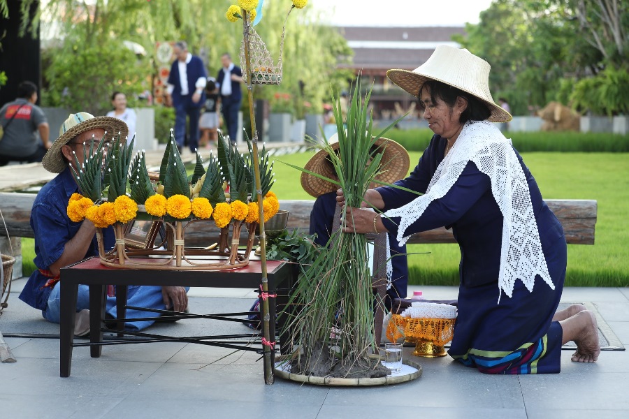รู้จัก “พิธีรับขวัญข้าว” ประเพณี-ความเชื่อดั้งเดิมแบบไทย ๆ ทำไมต้องรับขวัญ