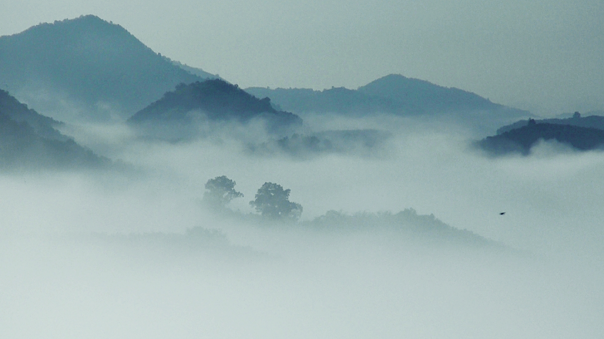 “หนองคาย”เสาร์-อาทิตย์คึกคัก นทท.แห่จองที่พักชมทะเลหมอก