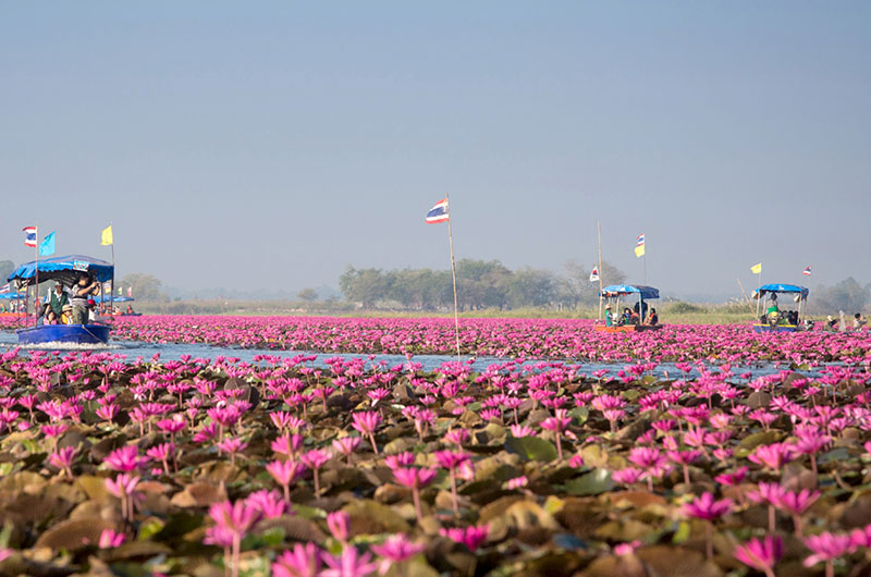 เศรษฐกิจ “อุดรธานี” ปี62 ทะยาน 3% เลือกตั้งดัน “อุตสาหกรรม-เกษตร-ท่องเที่ยว” โต