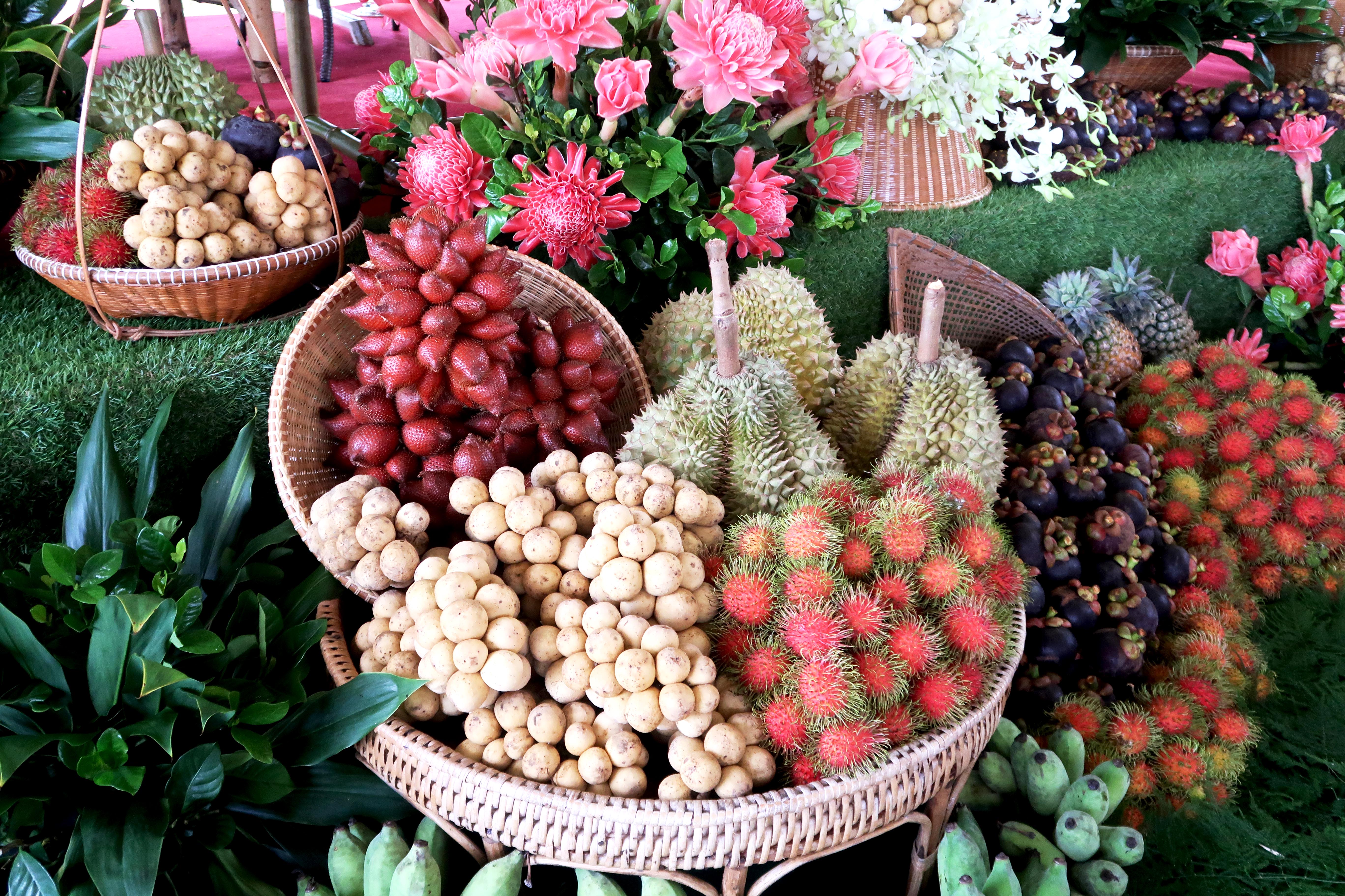 ทัวร์ 71 สวนผลไม้ 3 จว.ตะวันออก ชูแพ็กเกจพิเศษ-ห้องพัก ราคาพรีเมี่ยม