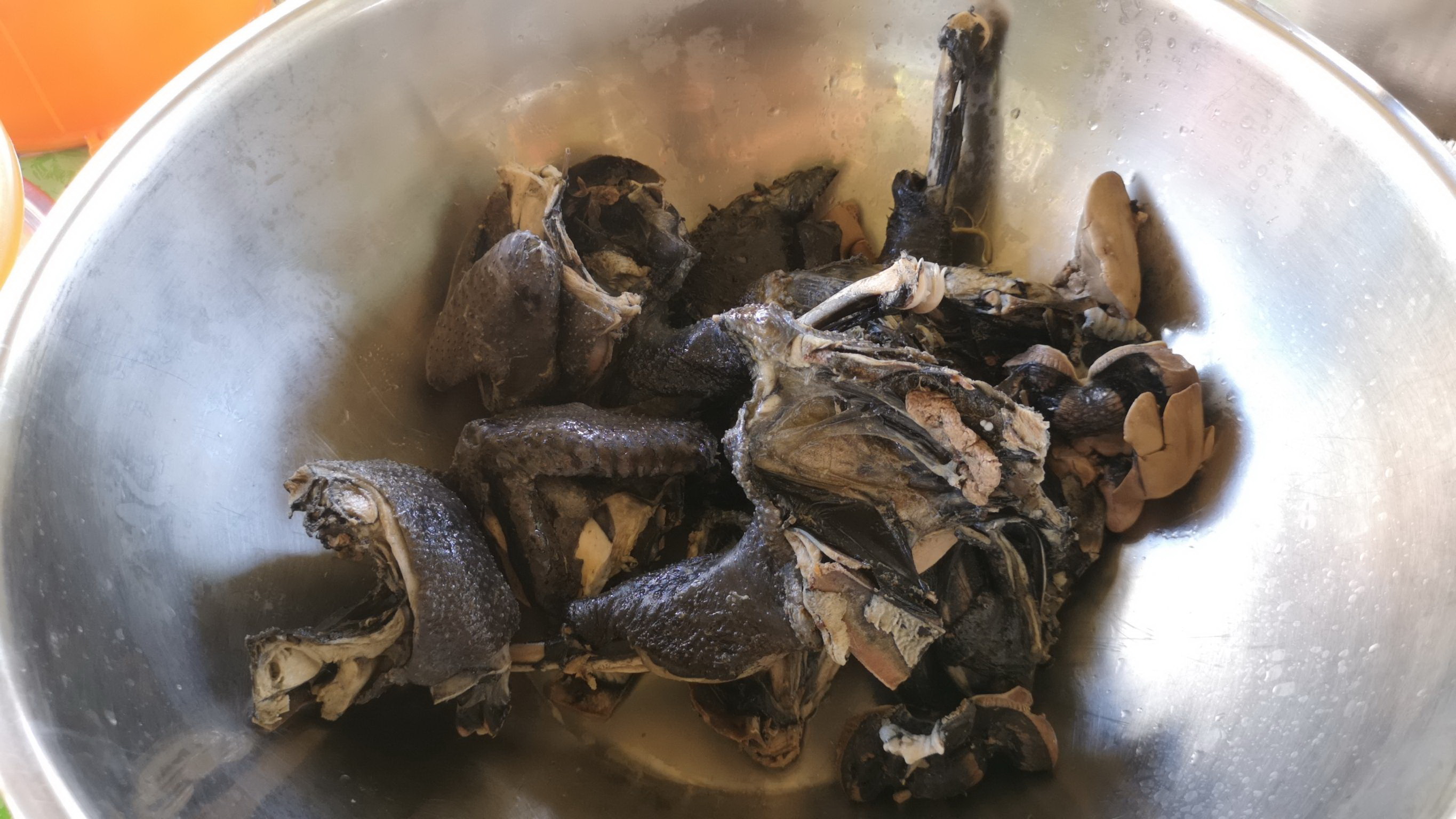 “ตรัง” บูมเลี้ยงไก่ดำทำเมนูเด็ดรับนักท่องเที่ยว