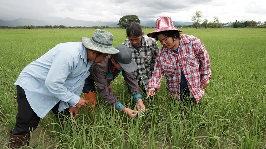 ซีเอสอาร์ “สยามคูโบต้า” เปิดศูนย์เรียนรู้ฯสร้างเกษตรกรยั่งยืน