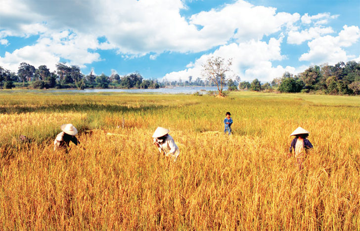 จีนแห่ซื้อสินค้าเกษตรไทย “สยามคูโบต้า” กวาดรายได้ปีนี้ 63,000 ล้าน