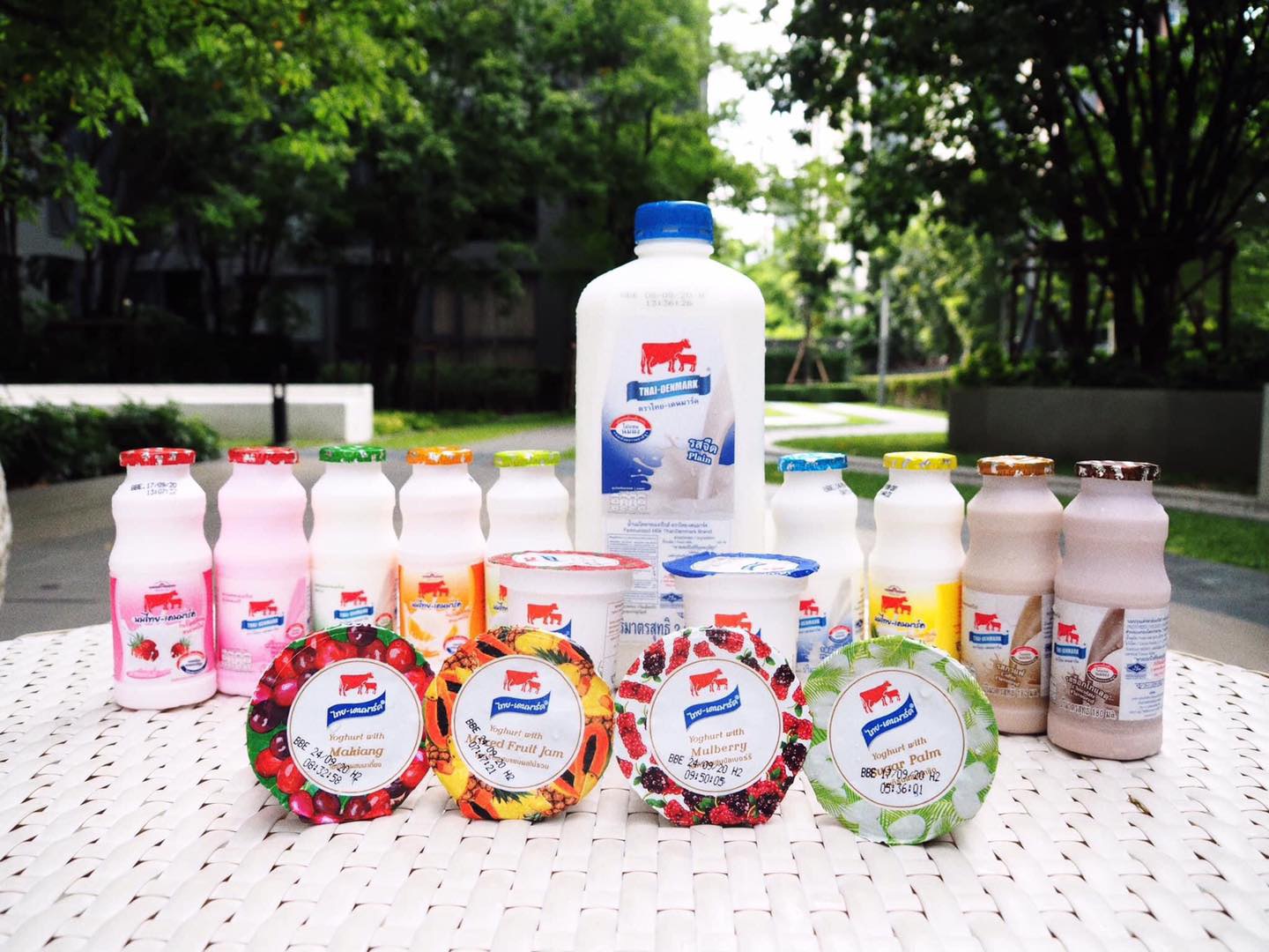 นมวัวแดง ไทย-เดนมาร์ค ปรับแผนตลาดเจาะกลุ่มนมแช่เย็นขายชุมชน