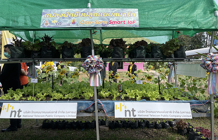 NT ยกระดับชีวิตเยาวชน โครงการเพาะพันธุ์ดี NT Youth Club