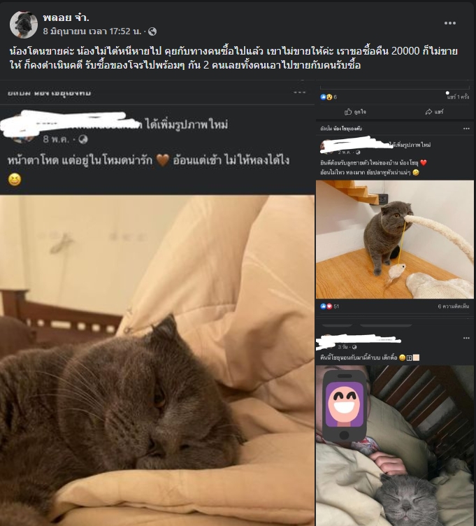 #ทวงคืนโชยุ