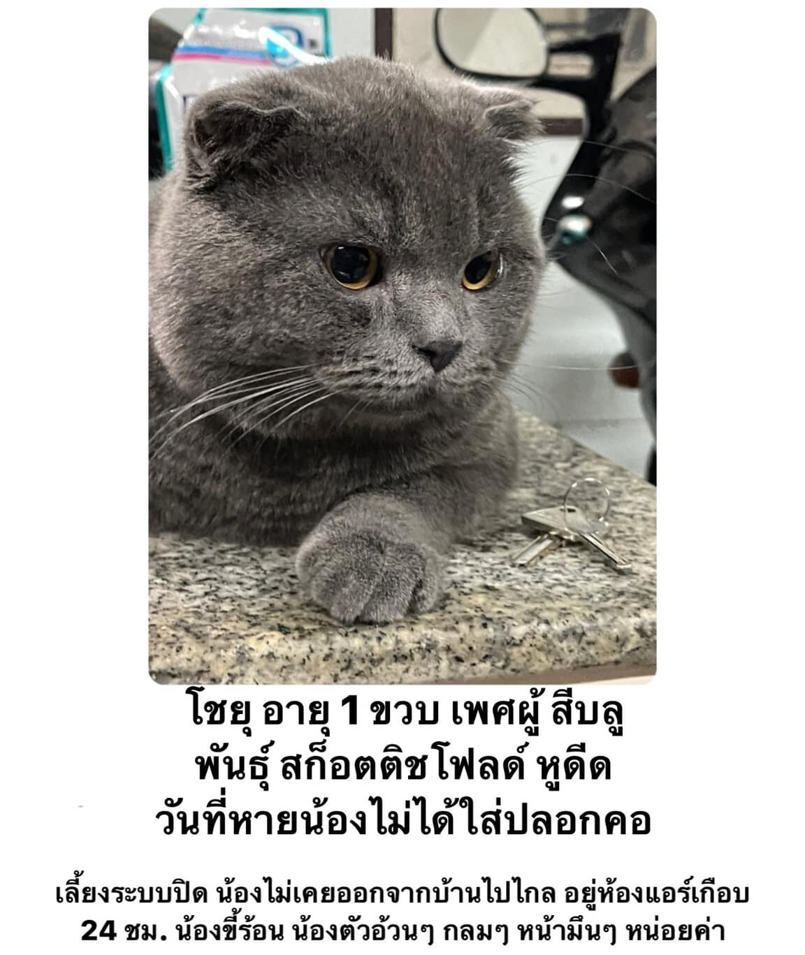 #ทวงคืนโชยุ
