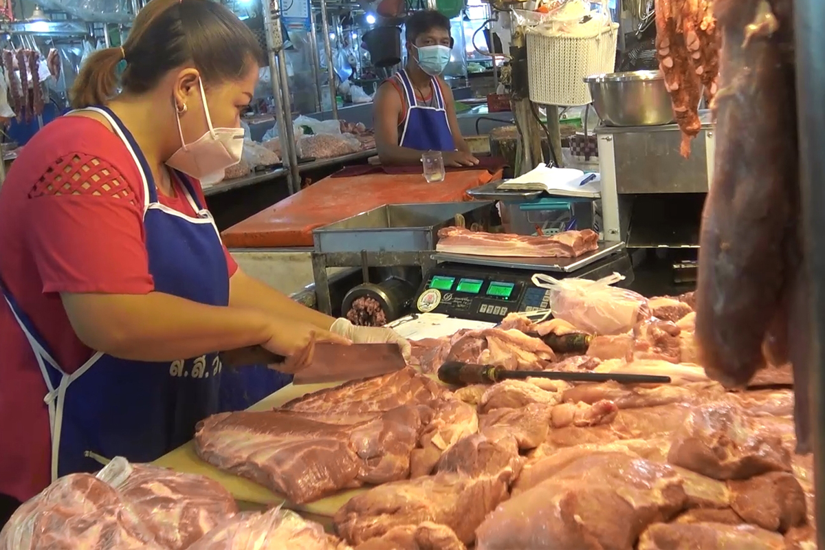 ดีมานด์แม่พันธุ์หมูใต้พุ่งรายย่อยแห่เลี้ยงอานิสงส์ท่องเที่ยวฟื้น