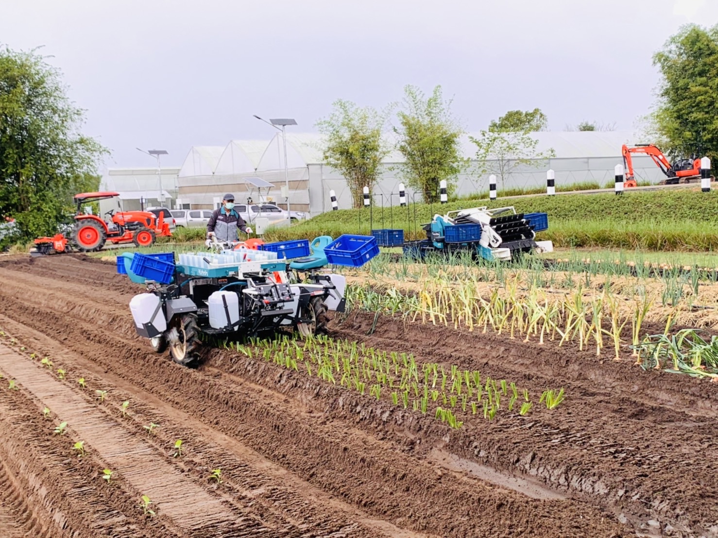 สยามคูโบต้า เปิดบ้าน KUBOTA FARM FEST 27 พ.ย. – 4 ธ.ค. ที่ชลบุรี