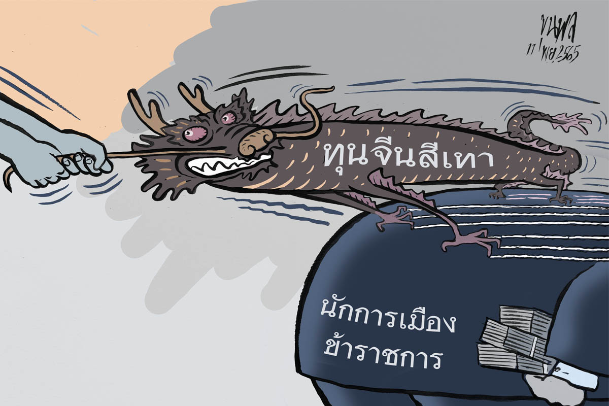 การ์ตูนขุนพล : ทุนจีนสีเทา นักการเมือง ข้าราชการ