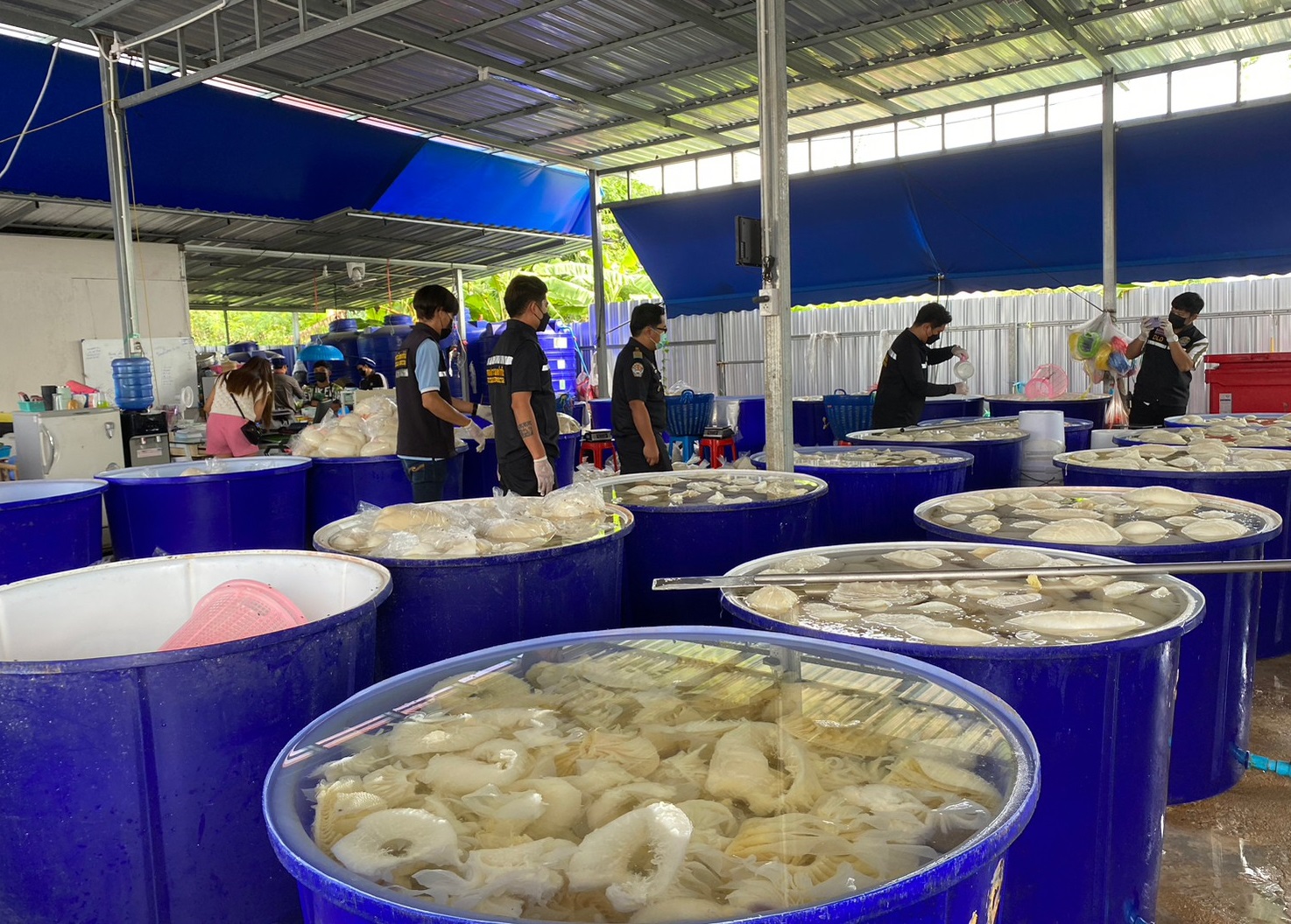ผวาฟอร์มาลินแช่เนื้อสัตว์ ร้องตรวจเข้มโรงชำแหละ-ร้านหมูกระทะ-ปิ้งย่าง