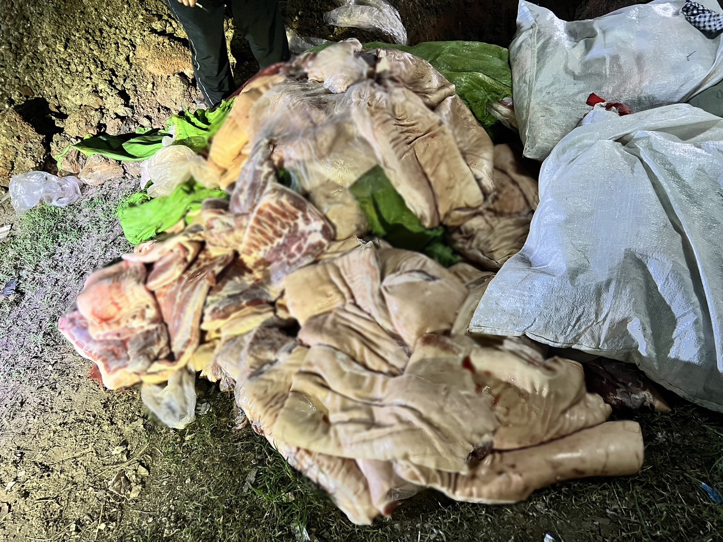 จับกองทัพมดลักลอบนำเข้าซากสุกร 1,500 กก. ชายแดนสระแก้ว