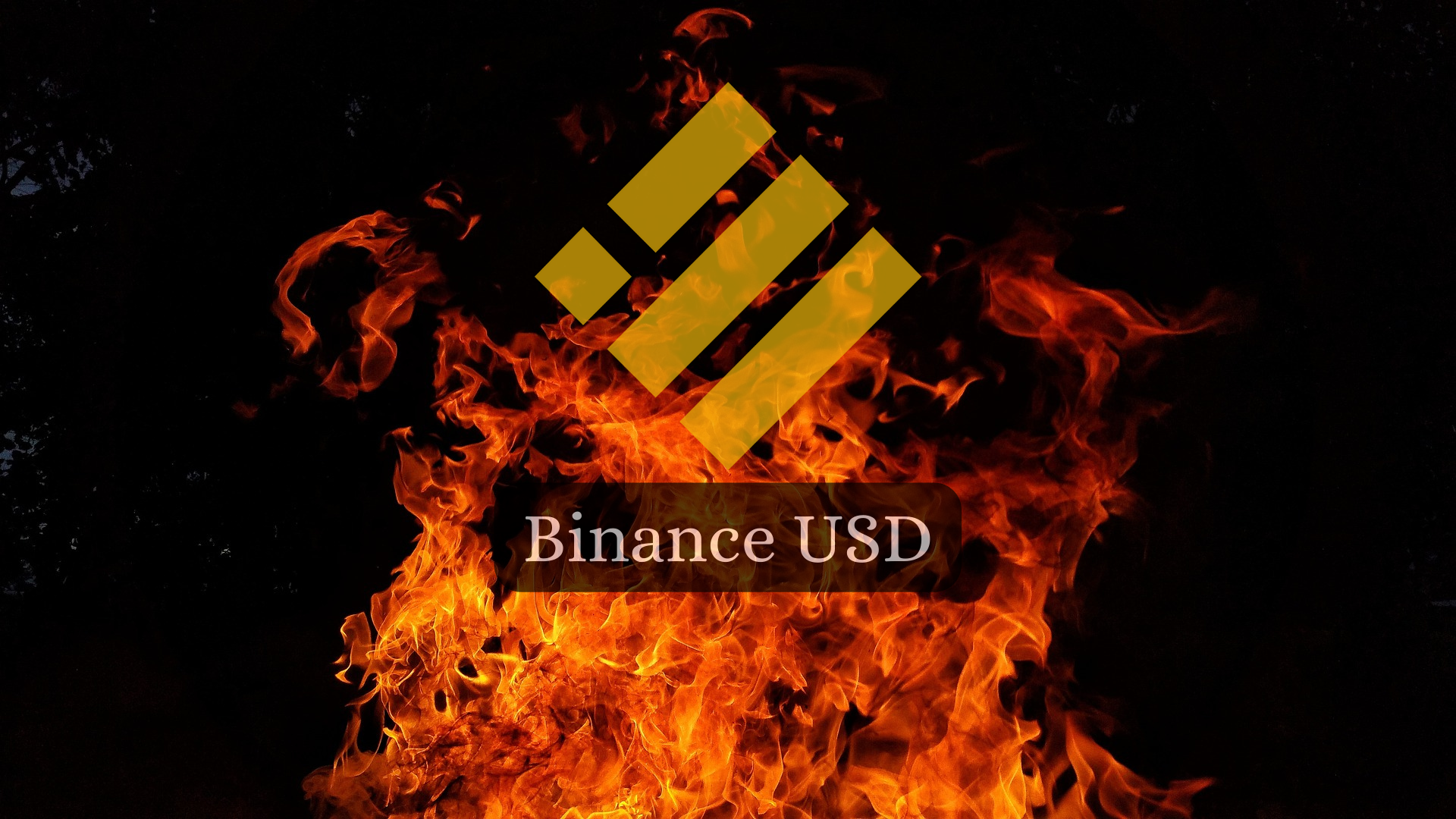 Bitkub เตรียมเพิกถอนเหรียญ Binance USD จากกระดานเทรดถาวร