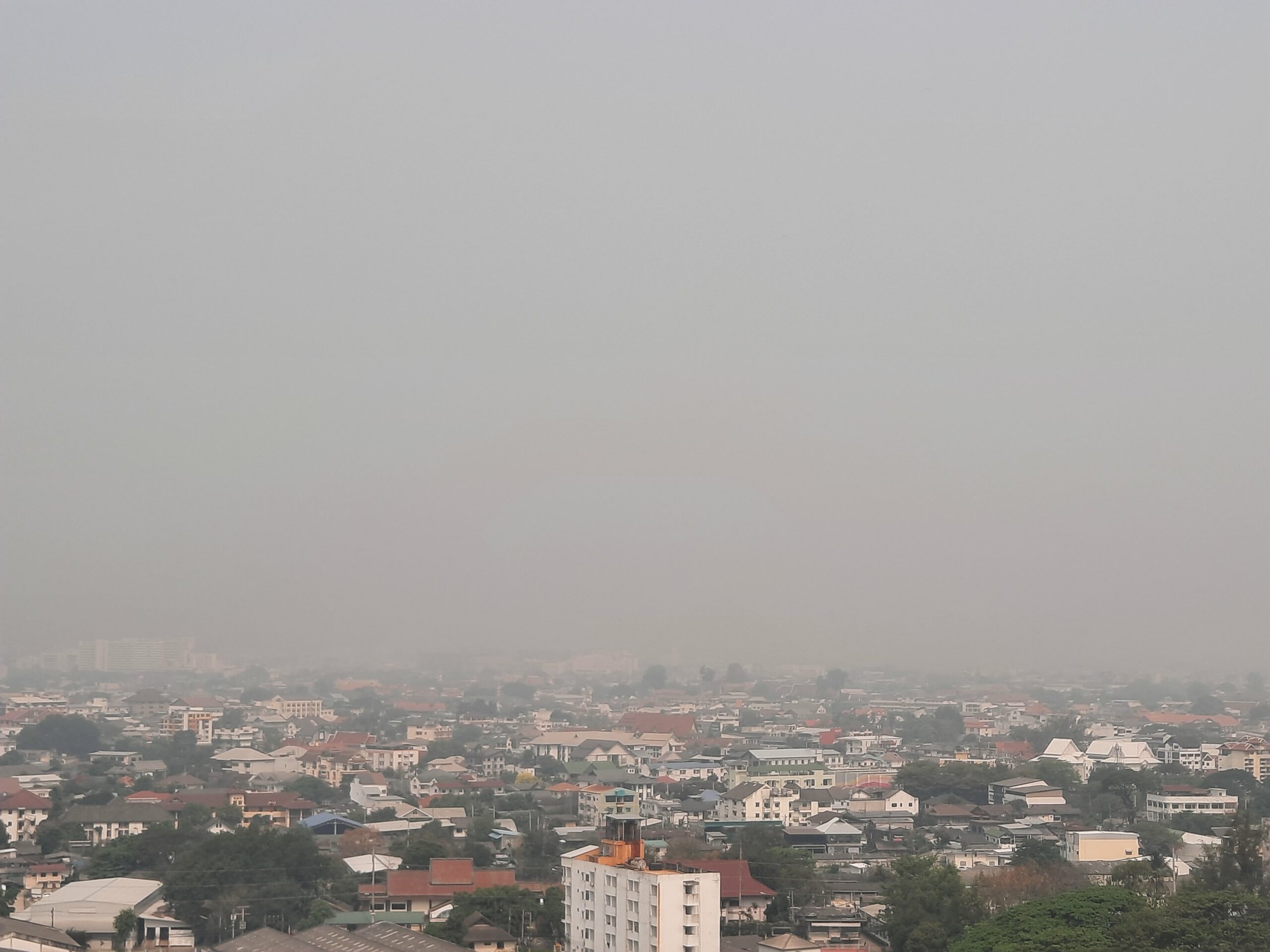 ภาคเหนือเจอพิษฝุ่นควัน PM 2.5 นาน 48 วัน จี้รัฐประกาศวิกฤติสุขภาพ