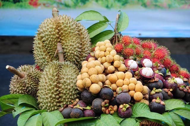 ผลไม้ไทยปี’69 เกษตรฯ คุมเกมคุณภาพ-ตลาด-มาตรฐาน ดันผลไม้ใต้ เปิดตลาดชิลี