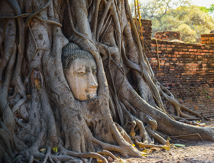 ไฮไลต์ 4 จุดดังทั่วโลก Amazing Thailand