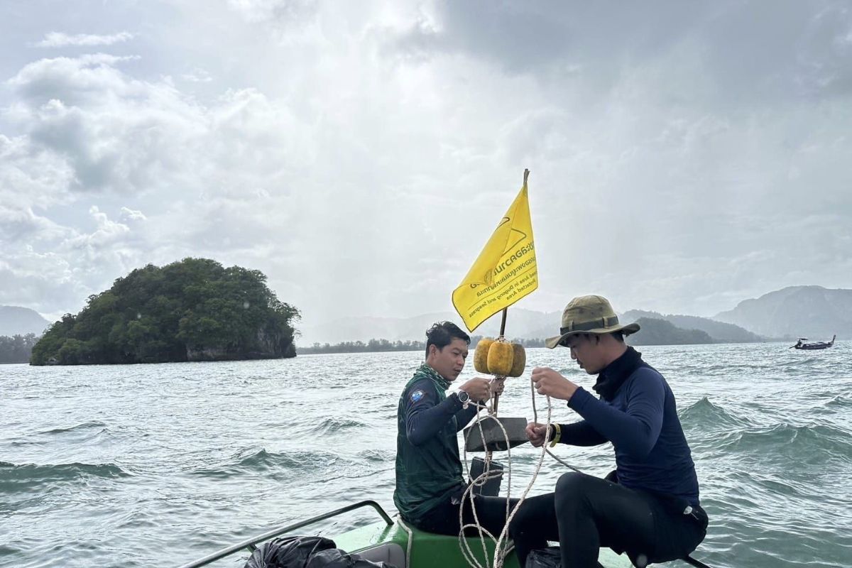 เกาะพีพี วางทุ่นเตือนระวัง “พะยูน” วอนลดความเร็ว ระมัดระวังเดินเรือ