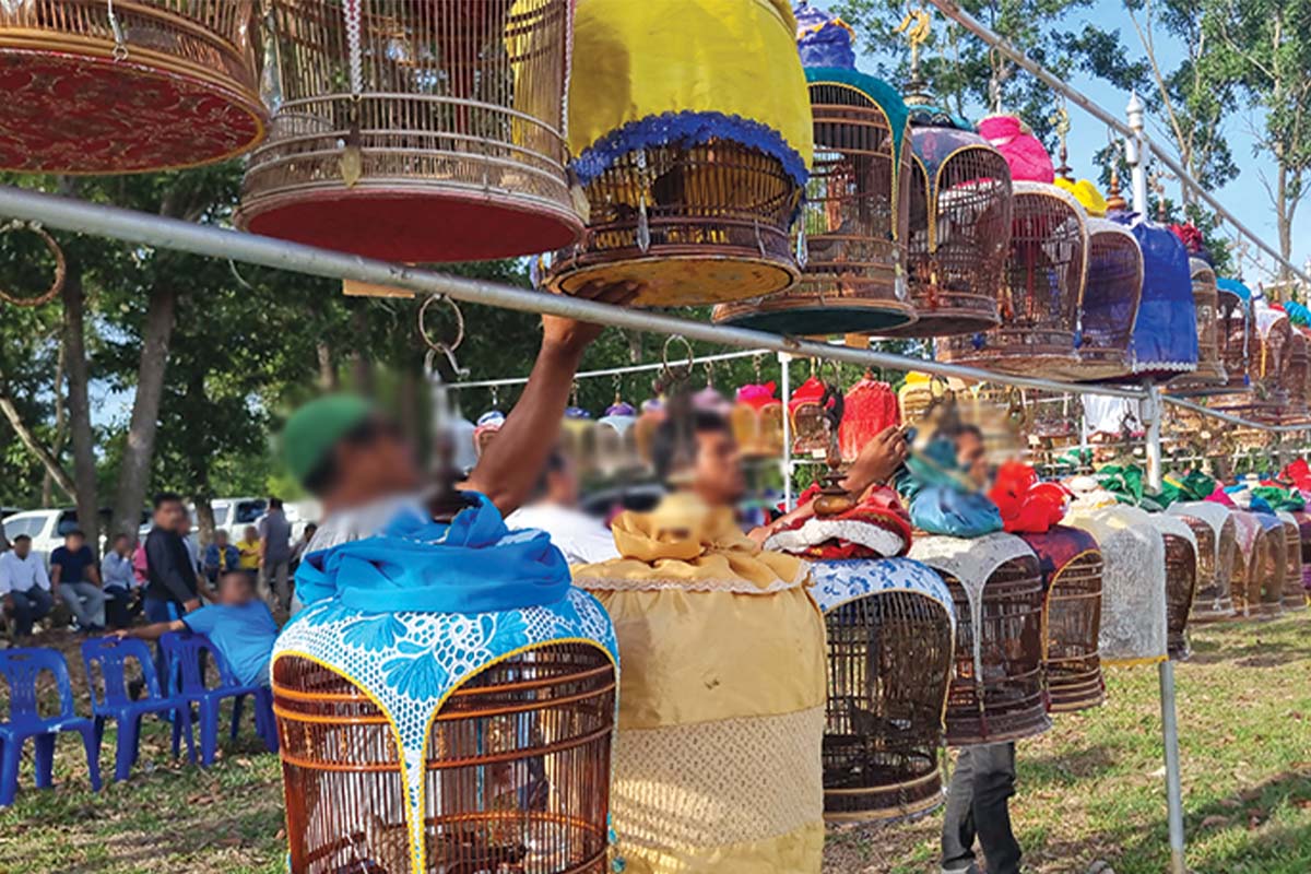 ธุรกิจ “ค้านกเขา” สงขลาบูม ผุด 170 ฟาร์ม ทำเงินสะพัดปีละ 100 ล้าน
