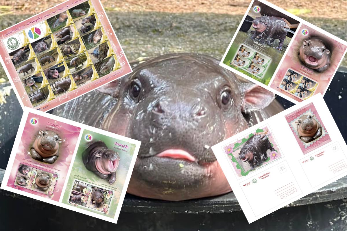 เปิดภาพหมูเด้ง ไอแสตมป์-โปสต์การ์ด ไปรษณีย์ไทยเปิดจองแล้ว