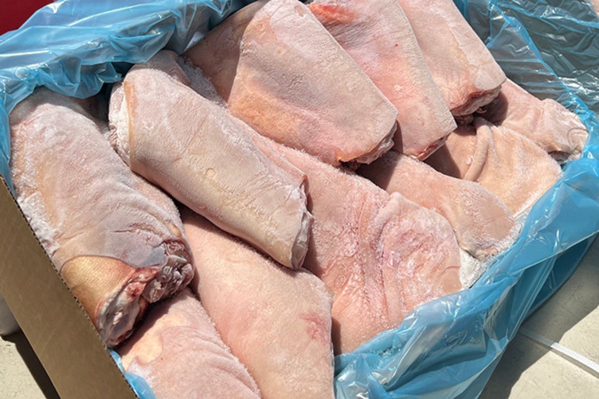 ผู้เลี้ยงสุกร ย้ำให้ DSI เดินหน้า คดี “หมูเถื่อน” ส่องตามชายแดนหวั่นลักลอบ