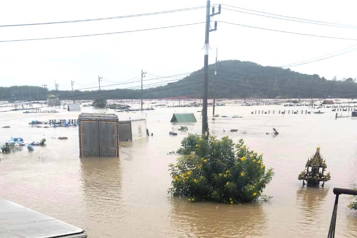 Flooding rice fields