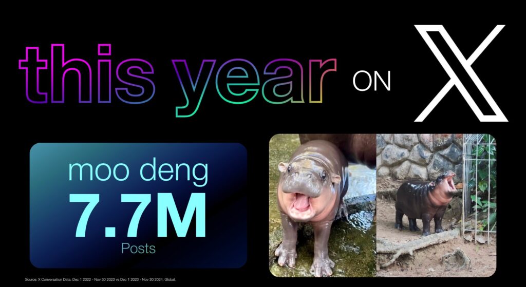 หมูเด้ง-X