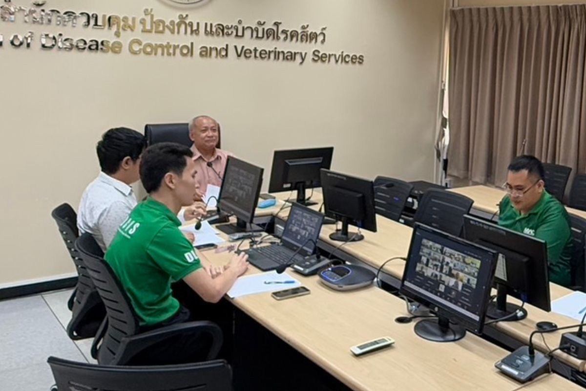 กรมปศ​ุสัตว์ ​พร้อมทบทวนหลักเกณฑ์นำ สุกร-หมูป่า เข้ามาเลี้ยงใหม่