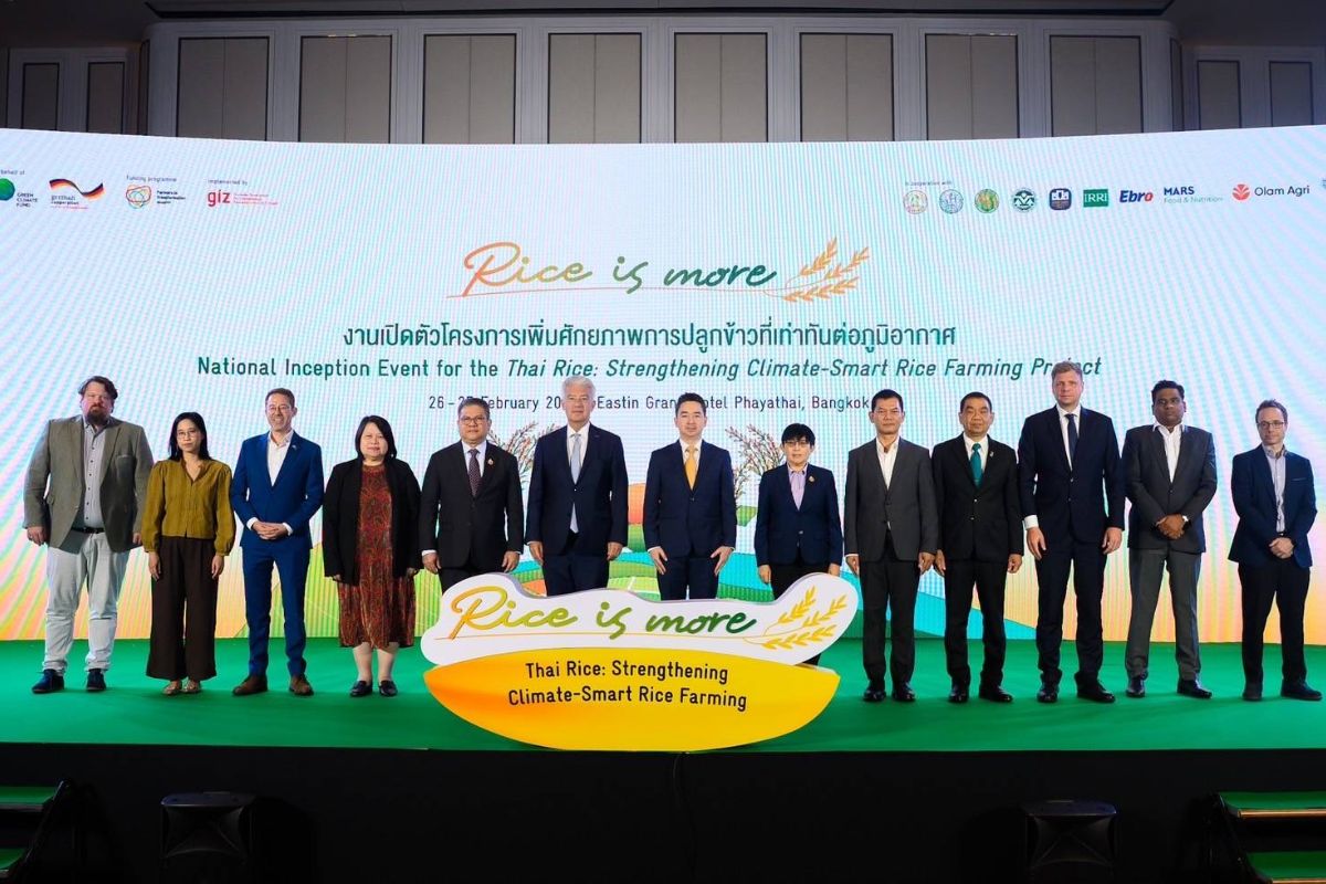 กองทุนภูมิอากาศสีเขียว หนุนไทย 4,181 ล้าน เปลี่ยนวิถีการปลูกข้าวรับมือภาวะโลกร้อน