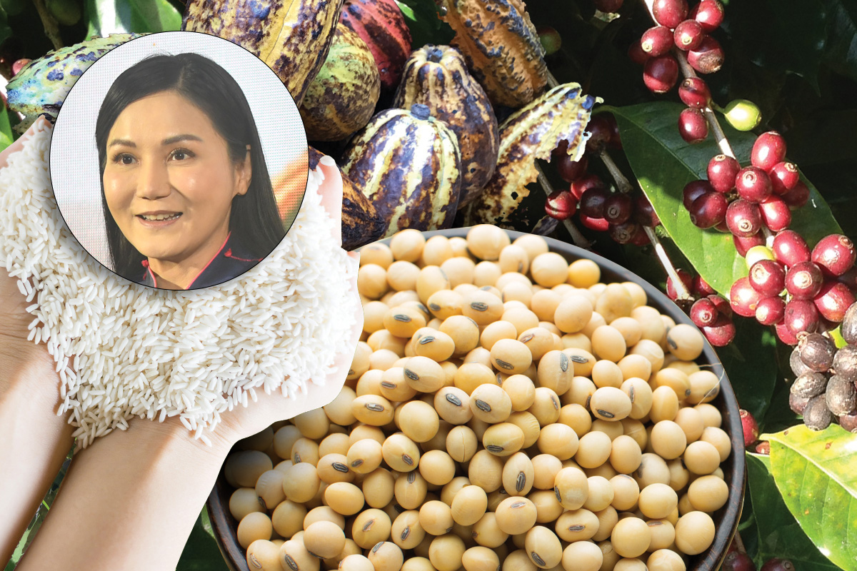 ขอหมื่นล้านเพิ่มมูลค่าสินค้าเกษตร “นฤมล” ลั่นเป้าปลูกข้าวคาร์บอนต่ำ 10 ล้านไร่