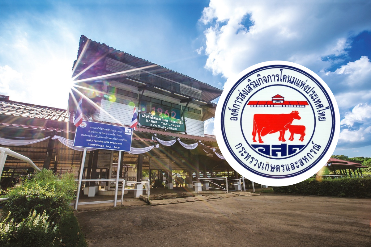 อ.ส.ค.เปิดสรรหา ผอ.คนใหม่ หวังดันนมไทย-เดนมาร์คเพิ่มยอดขาย