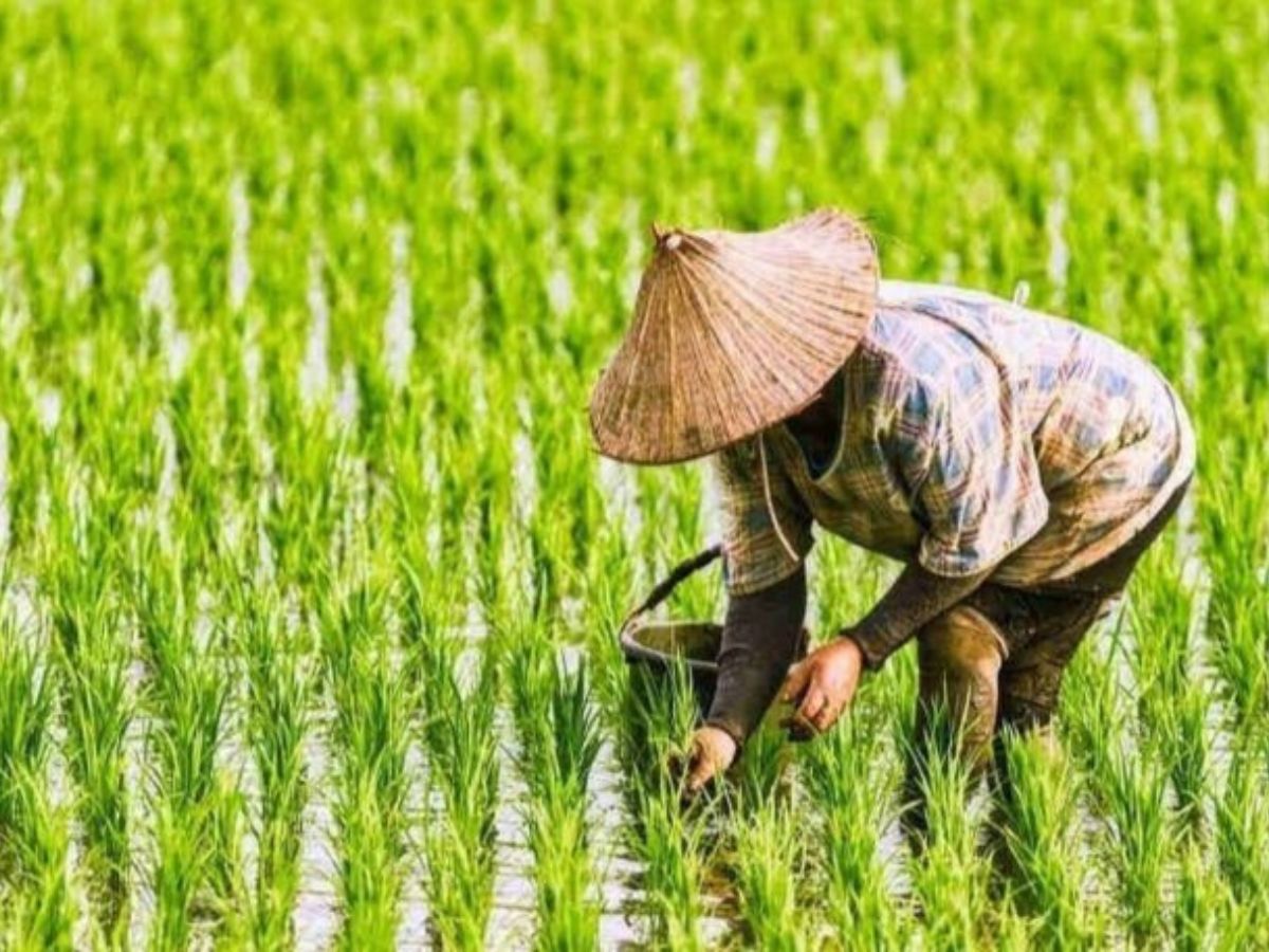 โรคไข้ดินคืออะไร ใครเสี่ยงป่วยหนัก แนวทางรักษา วิธีป้องกัน