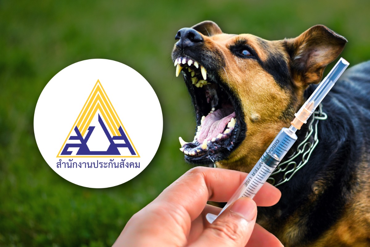 ผู้ประกันตน ฉีดวัคซีนพิษสุนัขบ้าฟรี รักษา รพ.นอกสิทธิ เบิกย้อนหลังได้