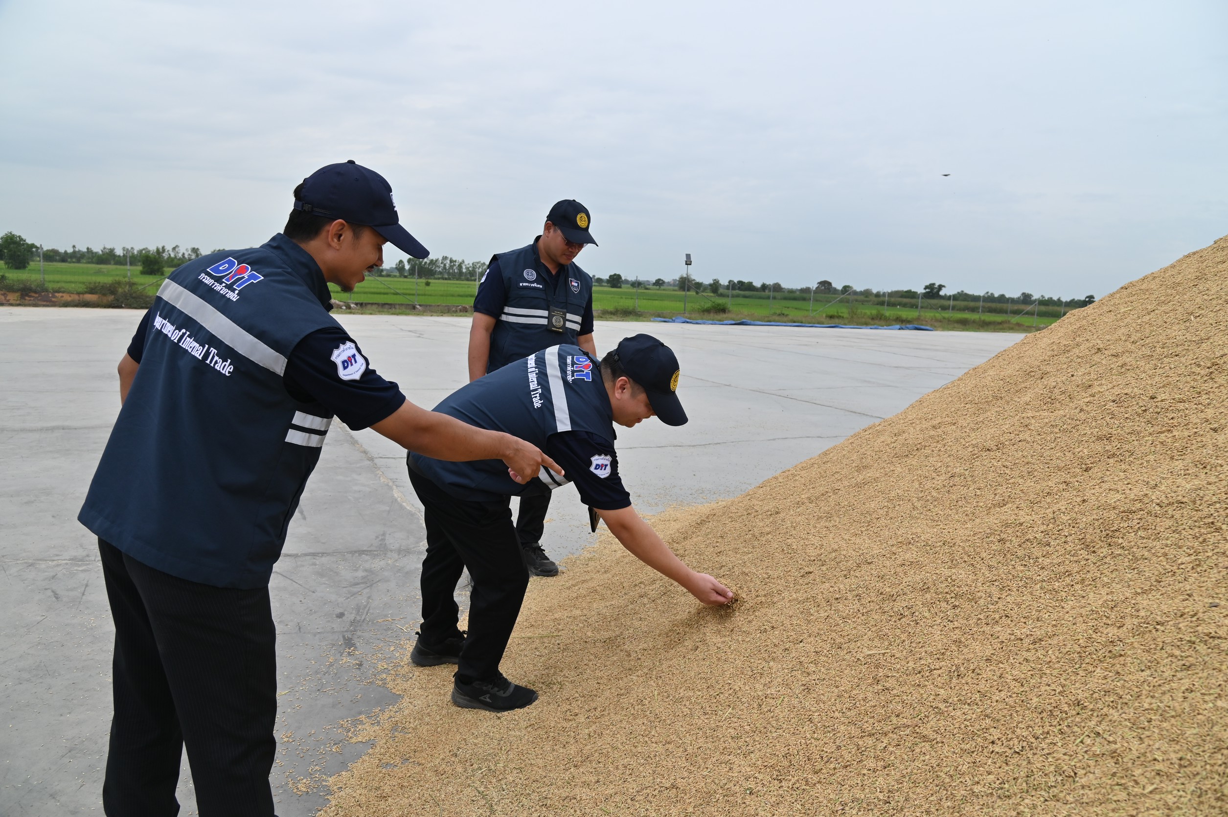 พาณิชย์ ระดมสหกรณ์รับซื้อข้าวเหนียวเชียงราย คุมเข้มห้ามกดราคาชาวนา