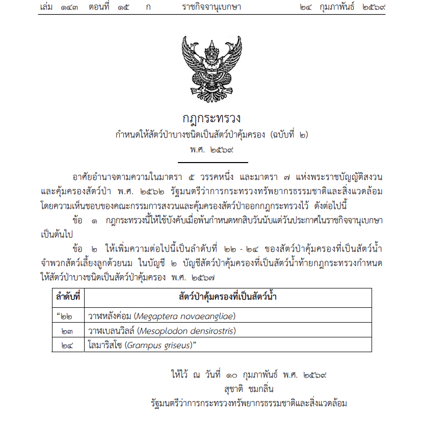 ราชกิจจาฯประกาศให้ วาฬหลังค่อม วาฬเบลนวิลล์ และโลมาริสโซ เป็นสัตว์ป่าคุ้มครอง 