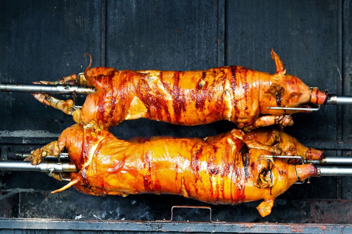 ผู้เลี้ยงหมู ทำ “หมูหัน” ลุยตรุษจีน ดูดซับส่วนเกิน 5 หมื่นตัวต่อเดือน