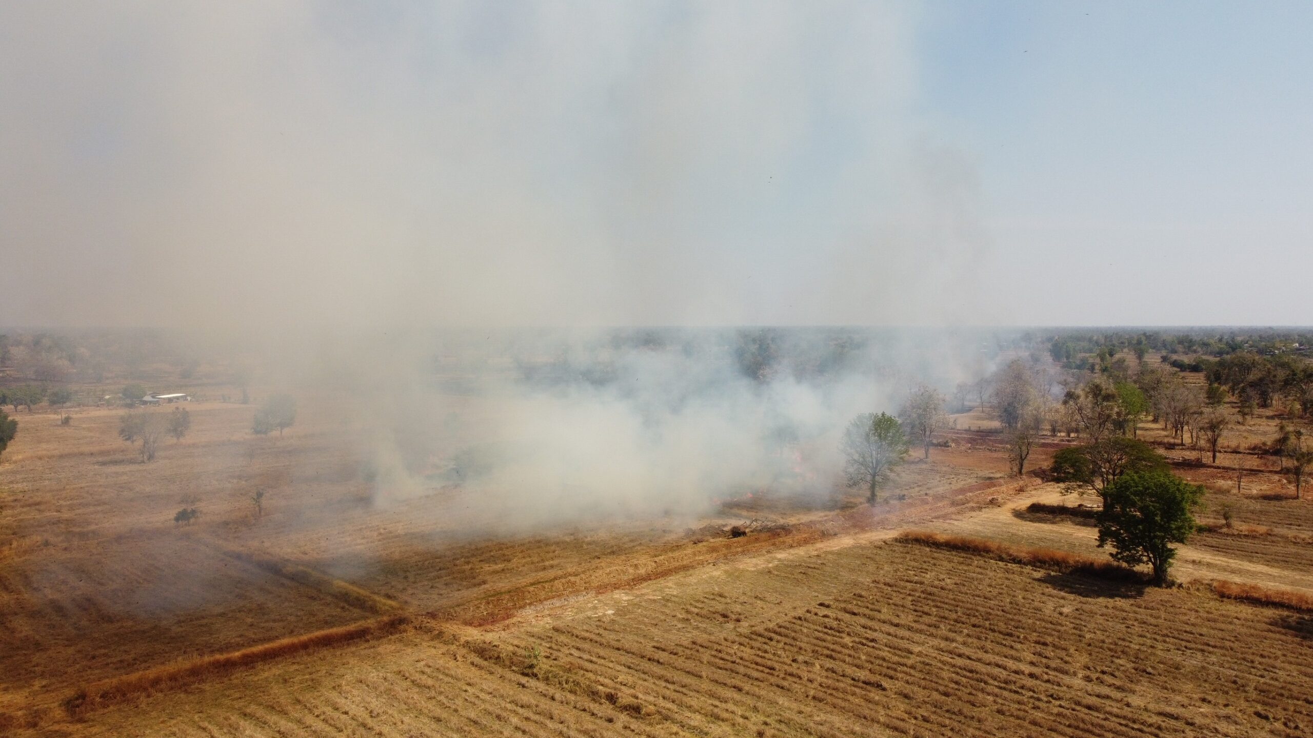 อีสานฝุ่นพุ่ง PM2.5 เกินมาตรฐาน ลามชายแดน สั่งคุมเผาทุกชนิดด่วน