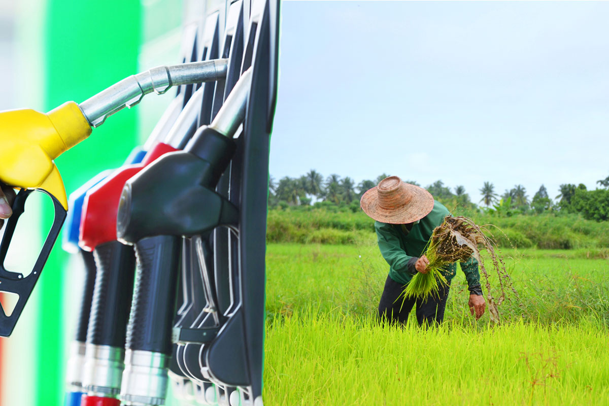 ทุกข์น้ำมันของชาวนา