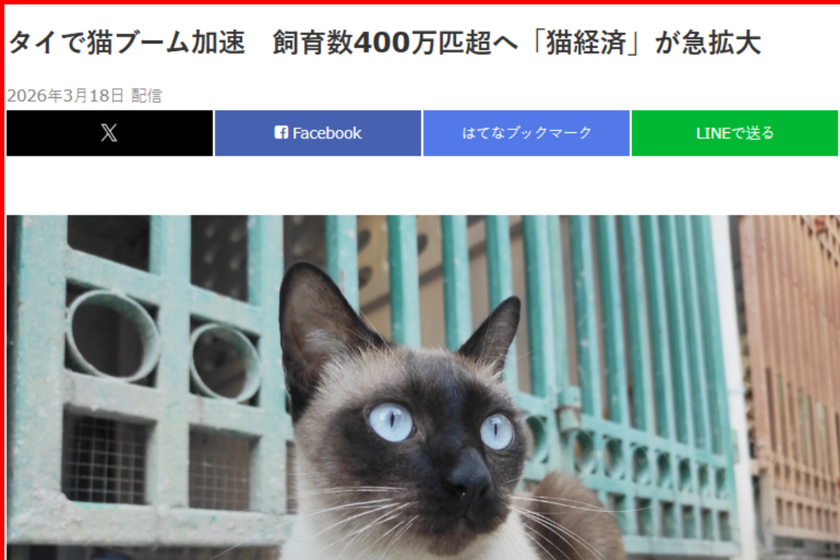 สื่อญี่ปุ่น ชี้ ไทยก้าวเข้าสู่ “Cat Economy” แรงหนุนคนโสด-สังคมสูงวัย