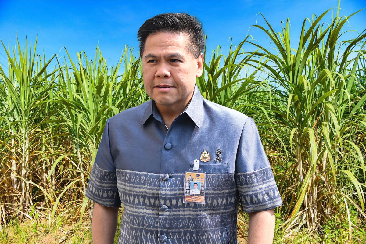ปั้น ‘อ้อย’ Bio Hub อาเซียน อุตฯเร่งลดเผา-ชูภาพน้ำตาลสีเขียว