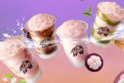 กาแฟพันธุ์ไทย ดันมังคุดจันทบุรี เสิร์ฟ 4 เมนูซีรีส์ “มังอร่อยกว่าที่คุด”