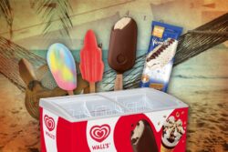 จาก Paddle Pop ถึง Viennetta : ส่องไอศกรีมวอลล์ในความทรงจำ และธุรกิจวันนี้