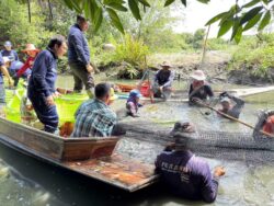 กรมประมงแจงผลตรวจปลากระป๋อง ยึดมาตรฐานสากล พร้อมลุยแก้ไข 21 จังหวัด