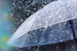 พยากรณ์อากาศวันนี้ (11 ส.ค. 69) ยังมีฝนตกหนักบางแห่ง กทม. ฝนตก 70% ของพื้นที่
