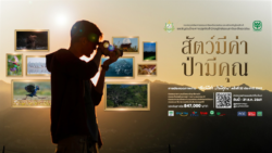 ชวนคนรักธรรมชาติ ส่งภาพร่วมประกวด “สัตว์มีค่า ป่ามีคุณ” ปี 2569 ชิงถ้วยพระราชทานฯ รางวัลรวมกว่า 8.5 แสนบาท